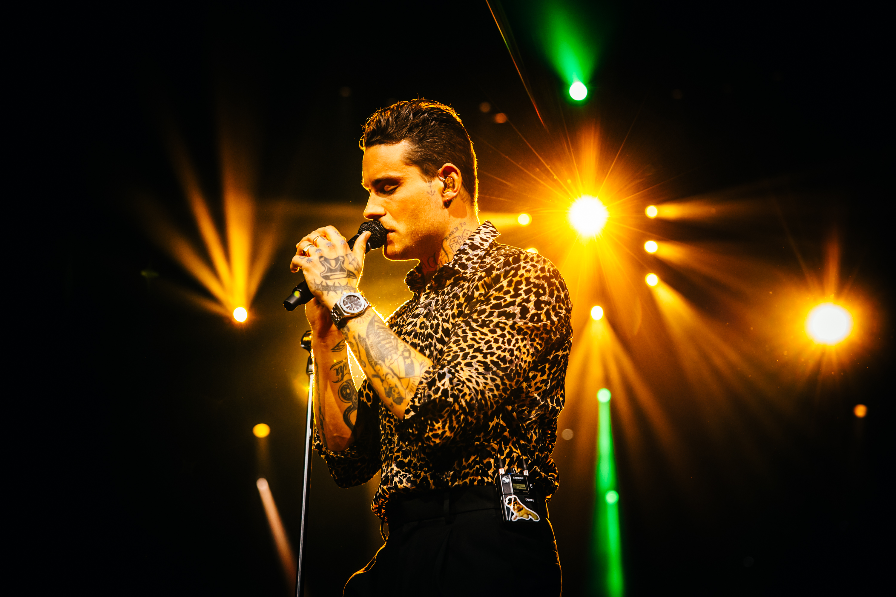 HollandZingtHazes_SetVexy_1792